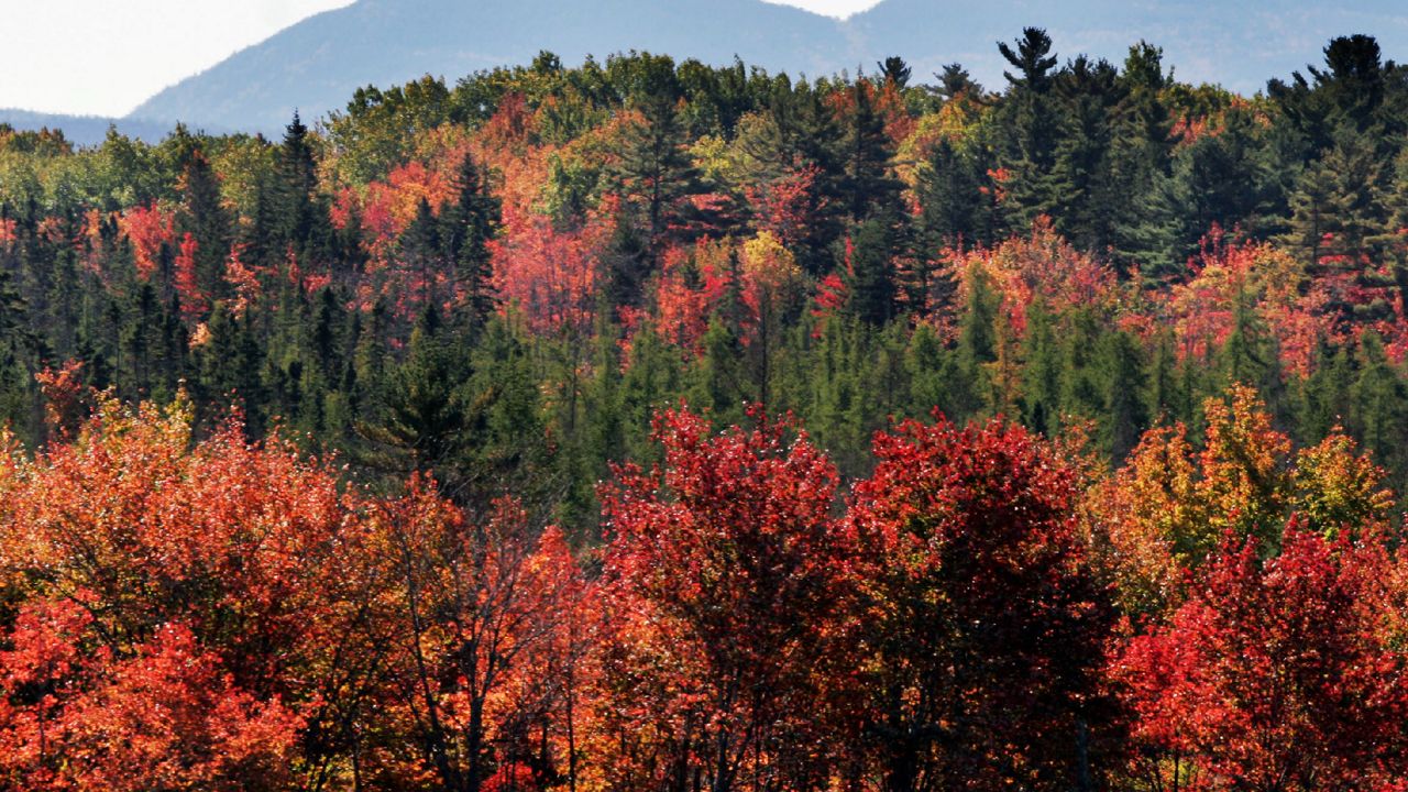 When to expect Maine's vibrant fall colors